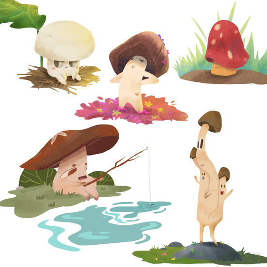 shrooms shrooms